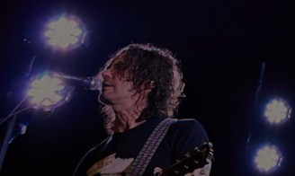 Come Together Bruce Springsteen tribute Wellington 2026