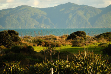 Queen Elizabeth Park Open Day family fun