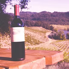 Group on a scenic tour in Wairarapa
